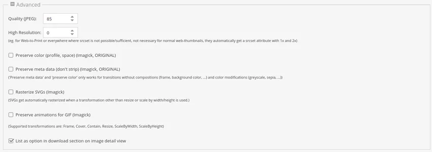 Downloading an asset as a thumbnail directly from Pimcore X admin panel